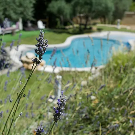 Bed & Breakfast L'oustalet Des Marres *